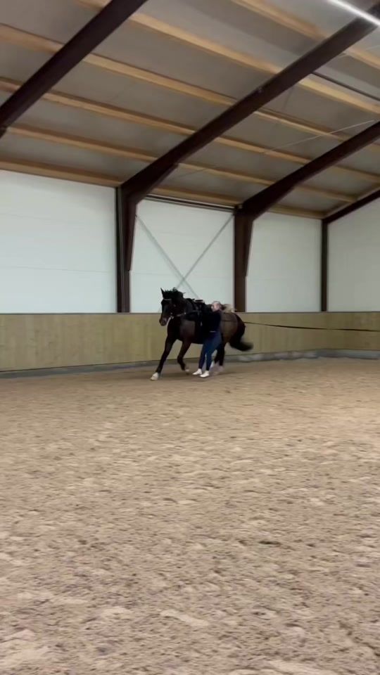 TikTok video thumbnail by vaulting.emma