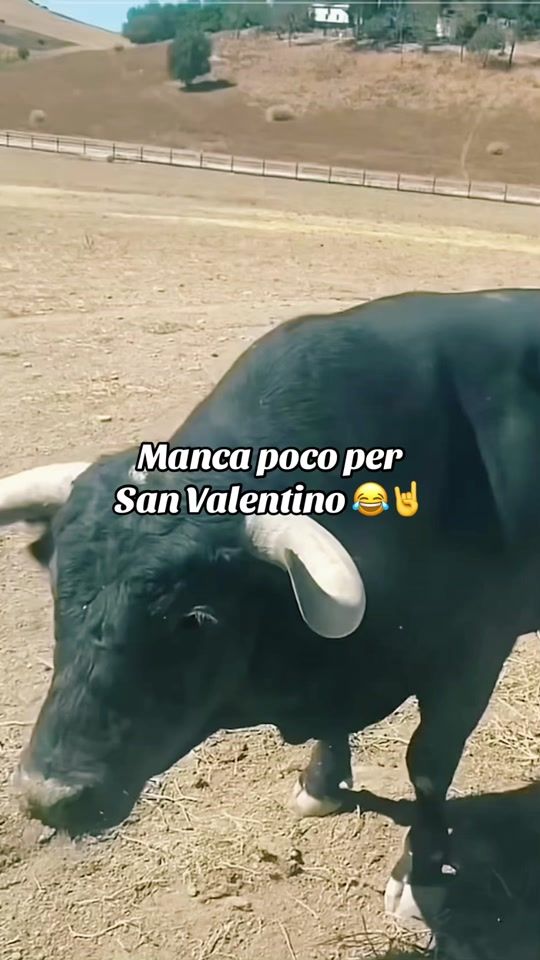 TikTok video thumbnail by leleedy_erre