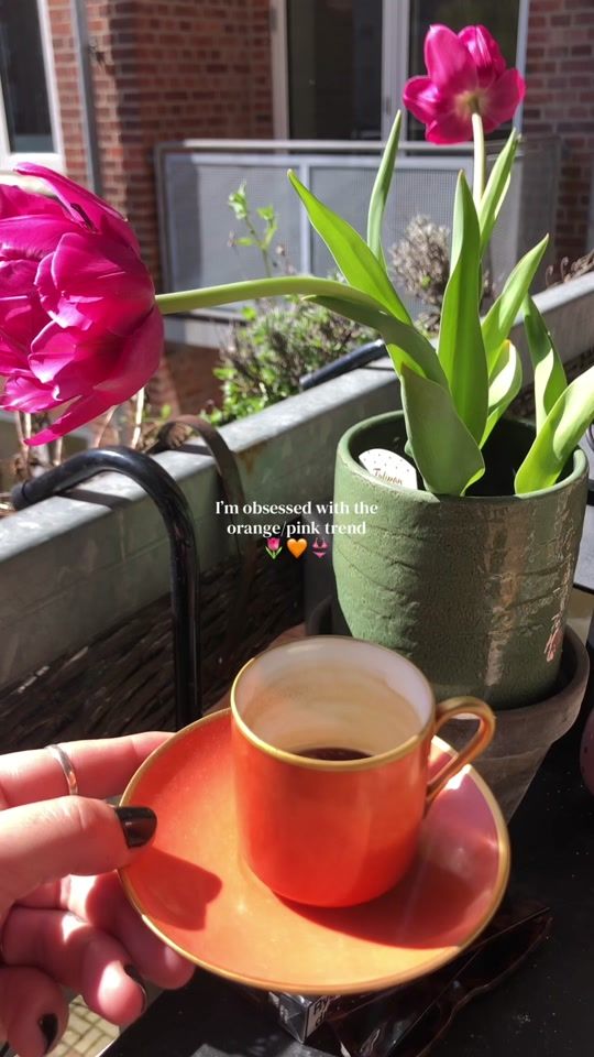 TikTok video thumbnail by thelacydiaries