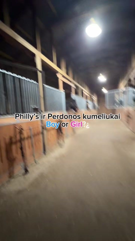 TikTok video thumbnail by gp.equestrainstables
