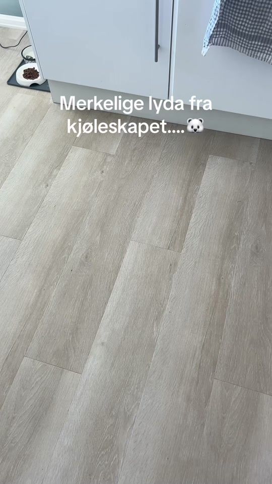 TikTok video thumbnail by detegodt