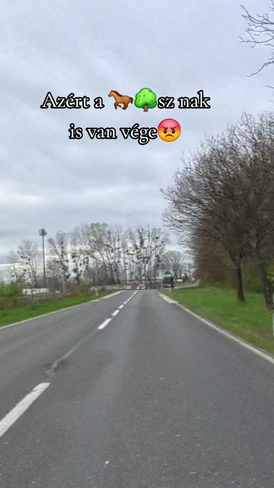 TikTok video thumbnail by melcs1rebel