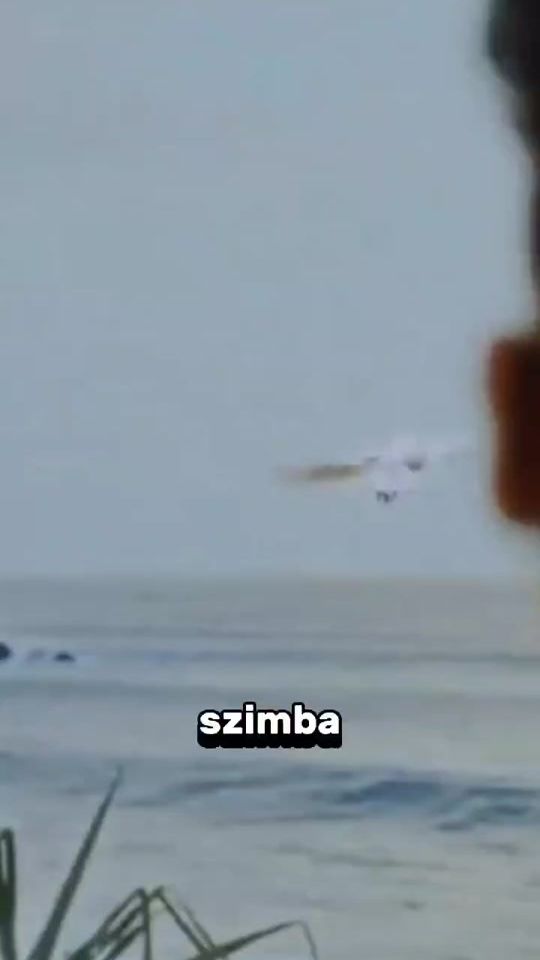 TikTok video thumbnail by ff.szimba