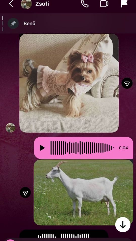 TikTok video thumbnail by balogh7170