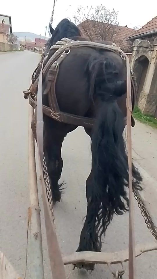 TikTok video thumbnail by bano.csabi.b152