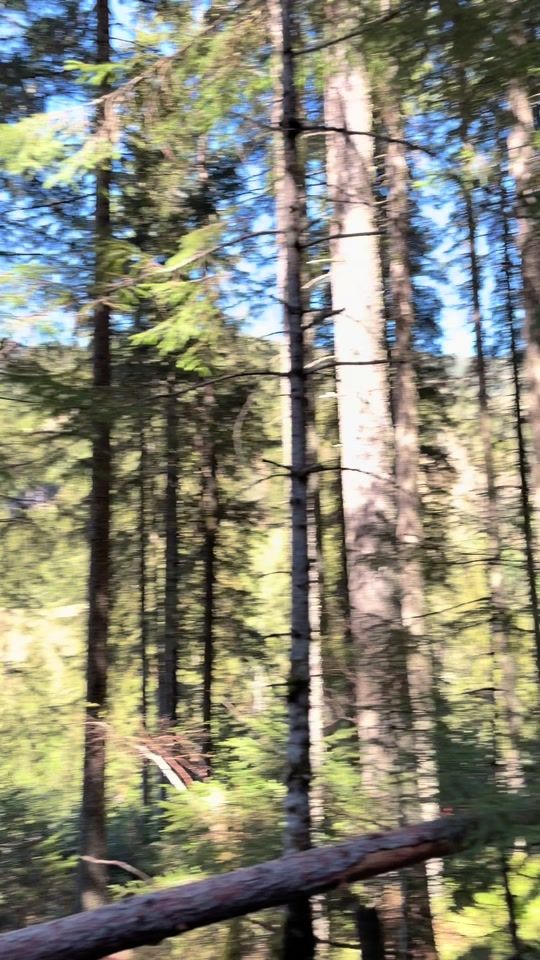 TikTok video thumbnail by agrar_sommerer