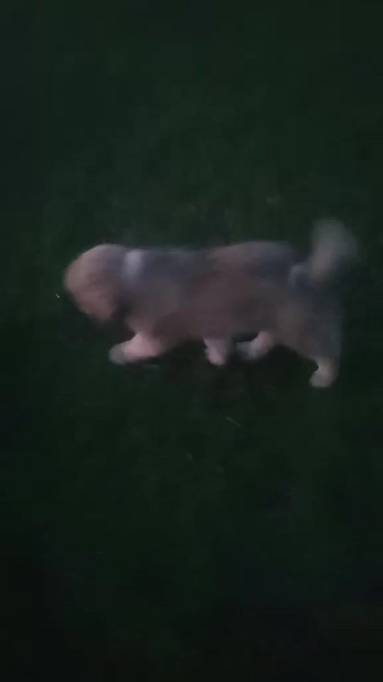 TikTok video thumbnail by magheru69