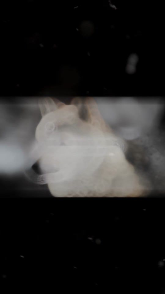 TikTok video thumbnail by vrhunskium_