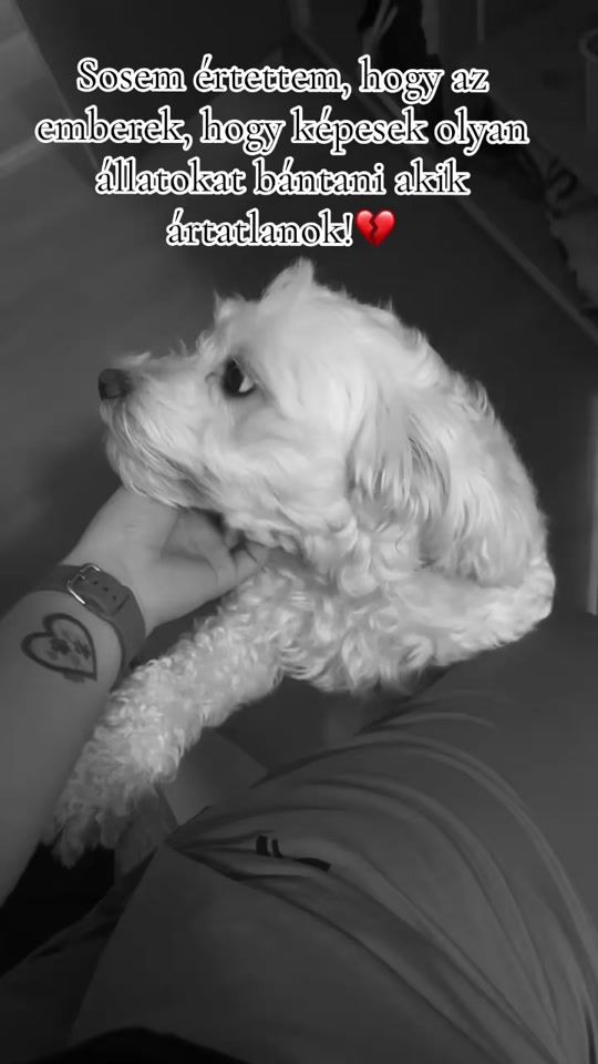 TikTok video thumbnail by kicsi_betti