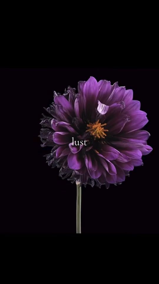 TikTok video thumbnail by adrianasseccrett