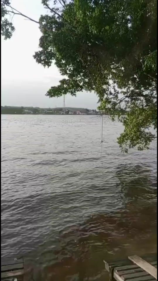 TikTok video thumbnail by carol.97300