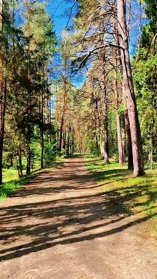 TikTok video thumbnail by darius.jasionis