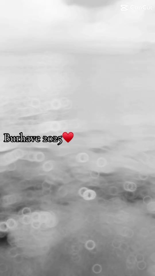 TikTok video thumbnail by jaquelineharms1