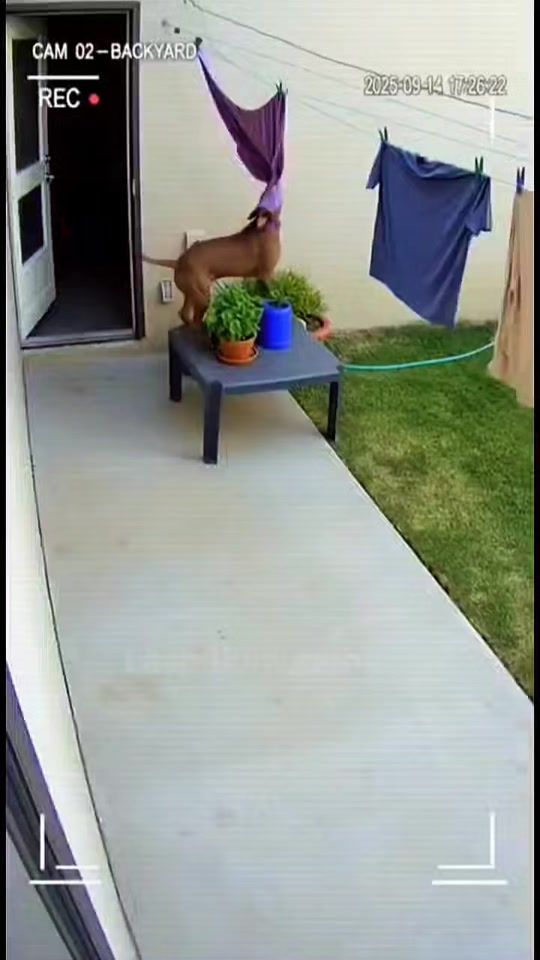 TikTok video thumbnail by angyalfold2