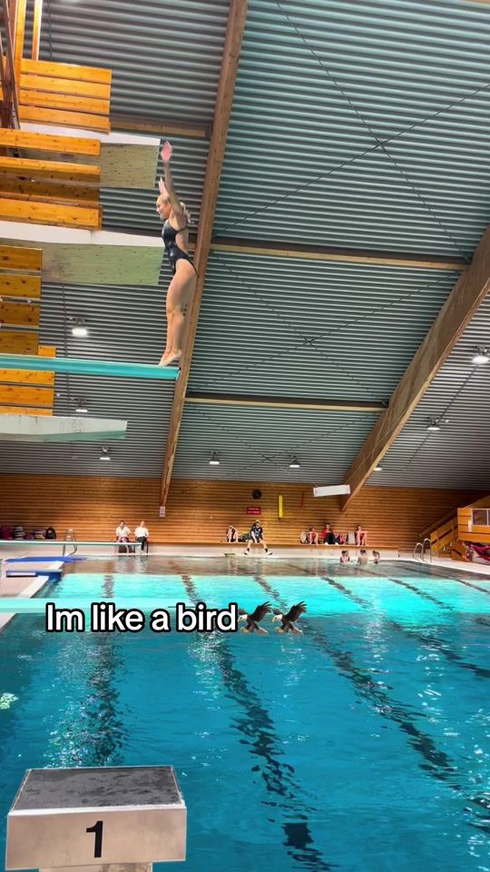 TikTok video thumbnail by diving.2