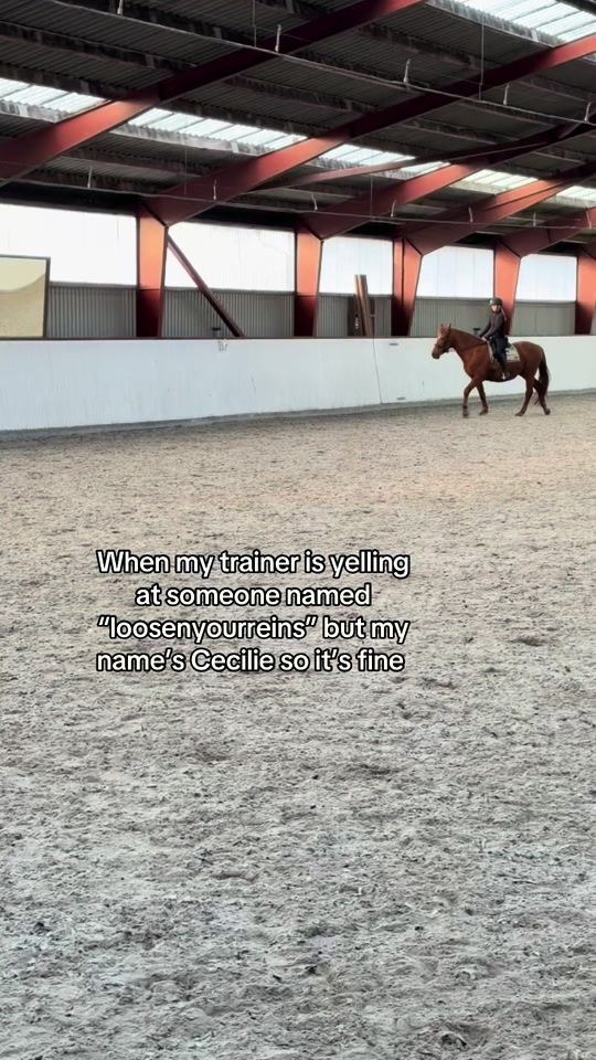 TikTok video thumbnail by equestrian_cecilie