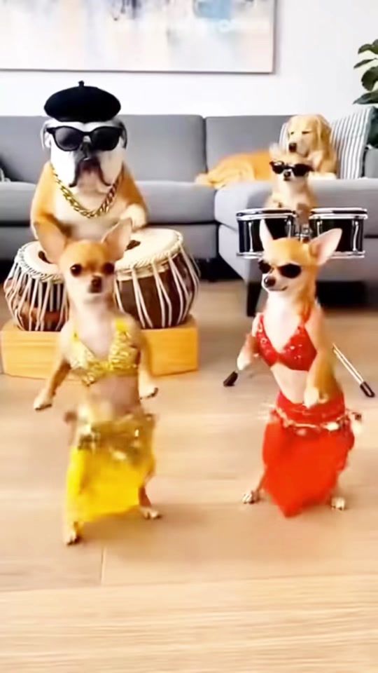 TikTok video thumbnail by zamble.gdon