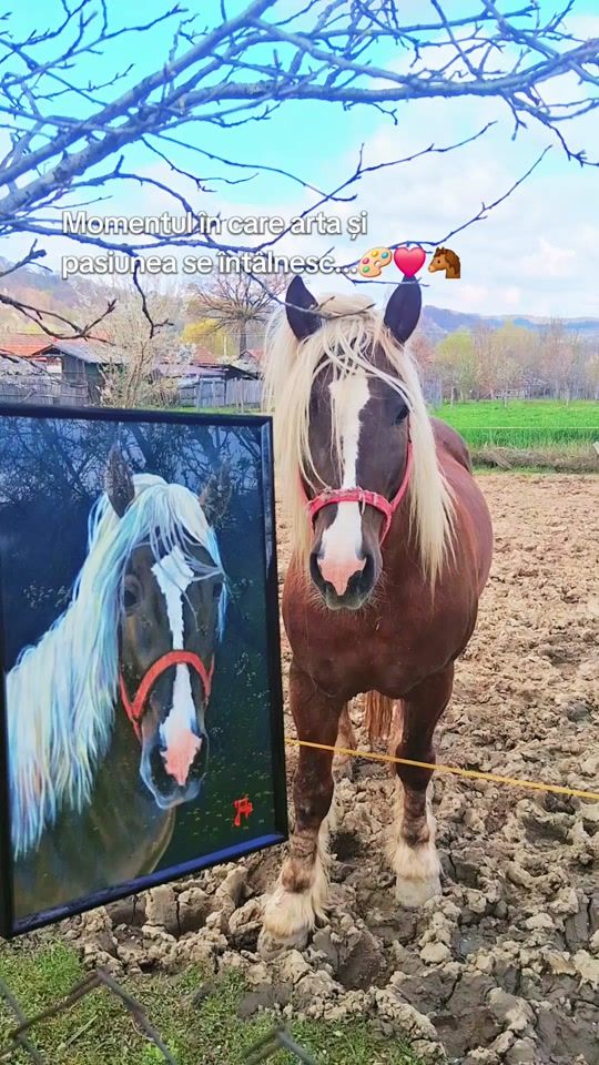 TikTok video thumbnail by ioana_uta