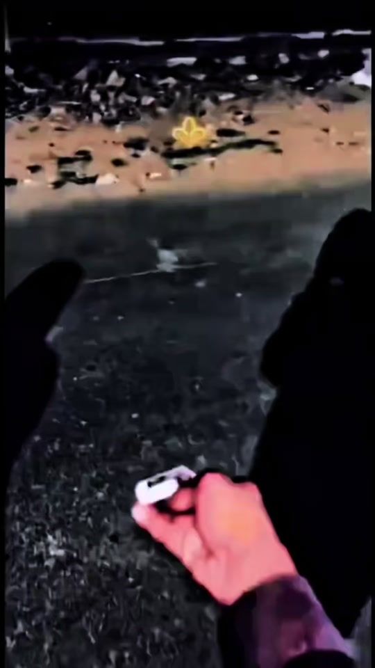 TikTok video thumbnail by flywithyourlovers