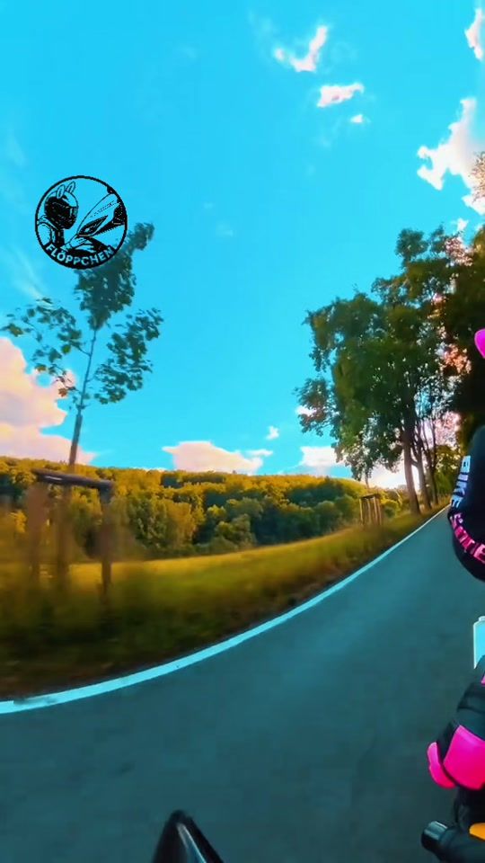 TikTok video thumbnail by bumblebee_floeppchen