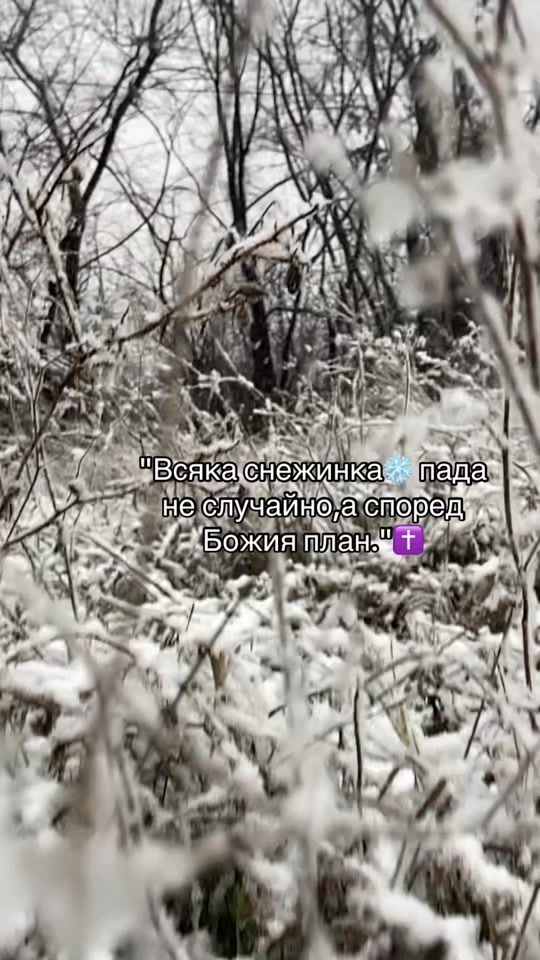 TikTok video thumbnail by vesi798