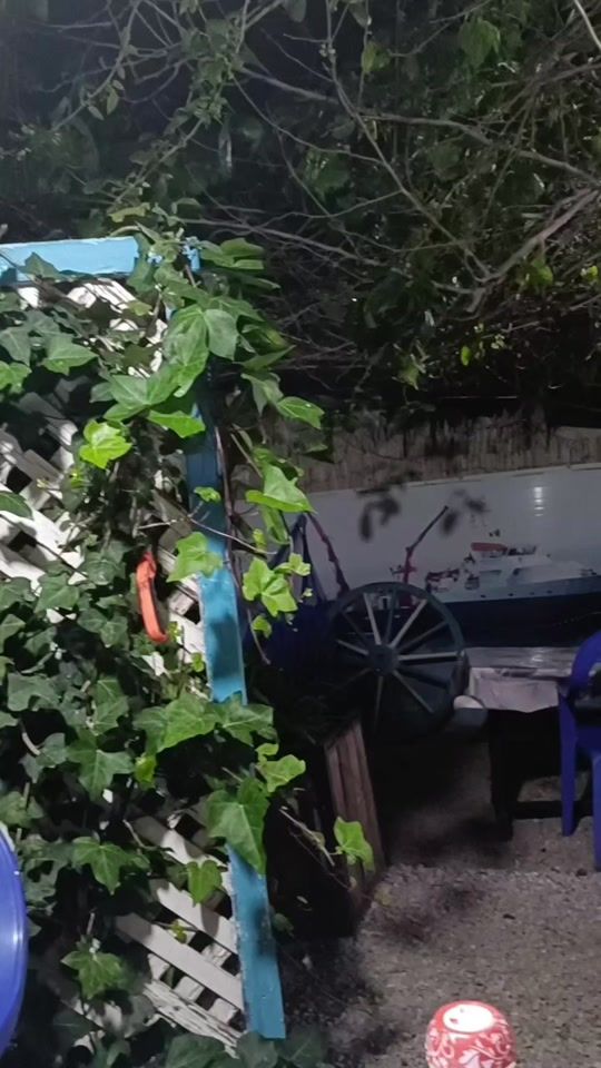 TikTok video thumbnail by khalat.karim