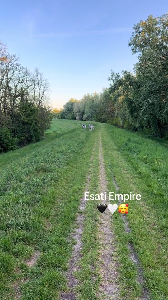TikTok video thumbnail by esatiempire