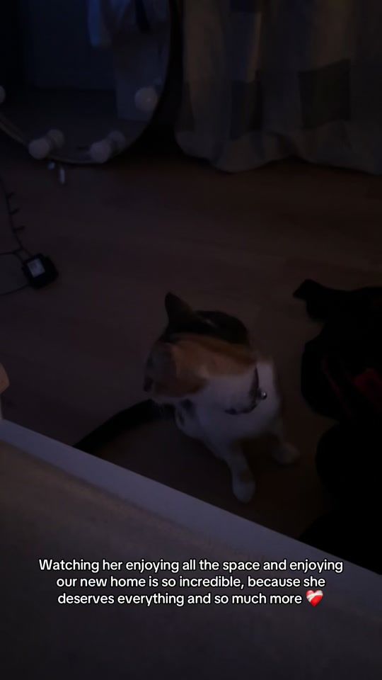 TikTok video thumbnail by definitelynotlae
