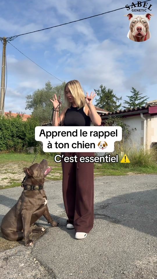 TikTok video thumbnail by sabelgenetic