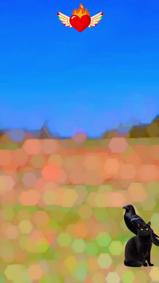 TikTok video thumbnail by darekrasmussen1