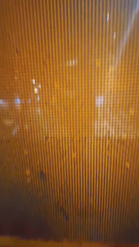 TikTok video thumbnail by annapaynich