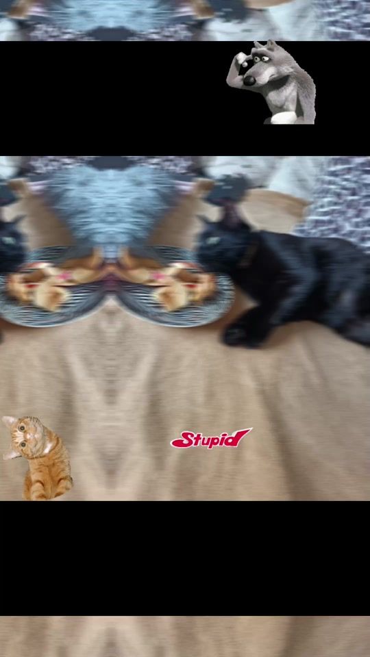 TikTok video thumbnail by freya20228
