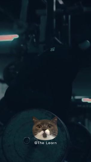 TikTok video thumbnail by jhonsanle.dev