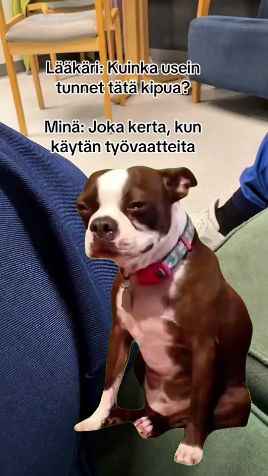 TikTok video thumbnail by dzhesu