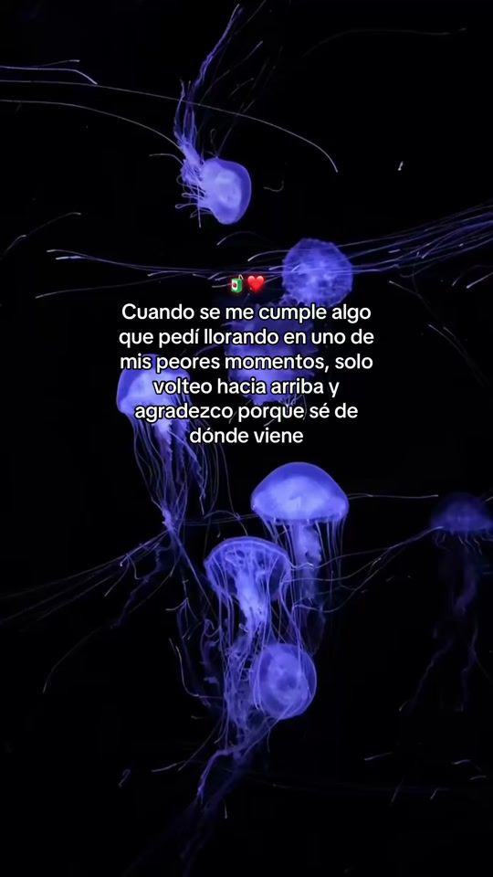 TikTok video thumbnail by romerito504_