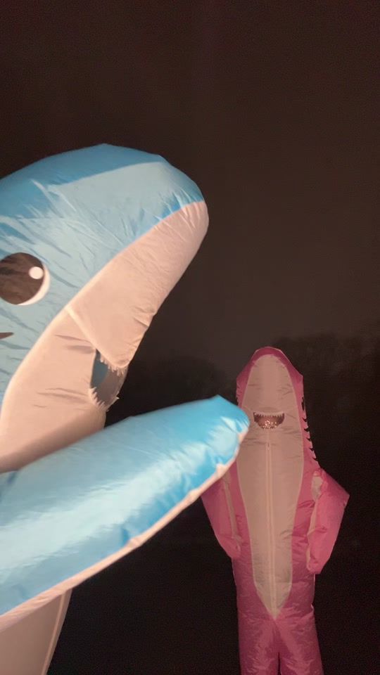 TikTok video thumbnail by twofinfriends