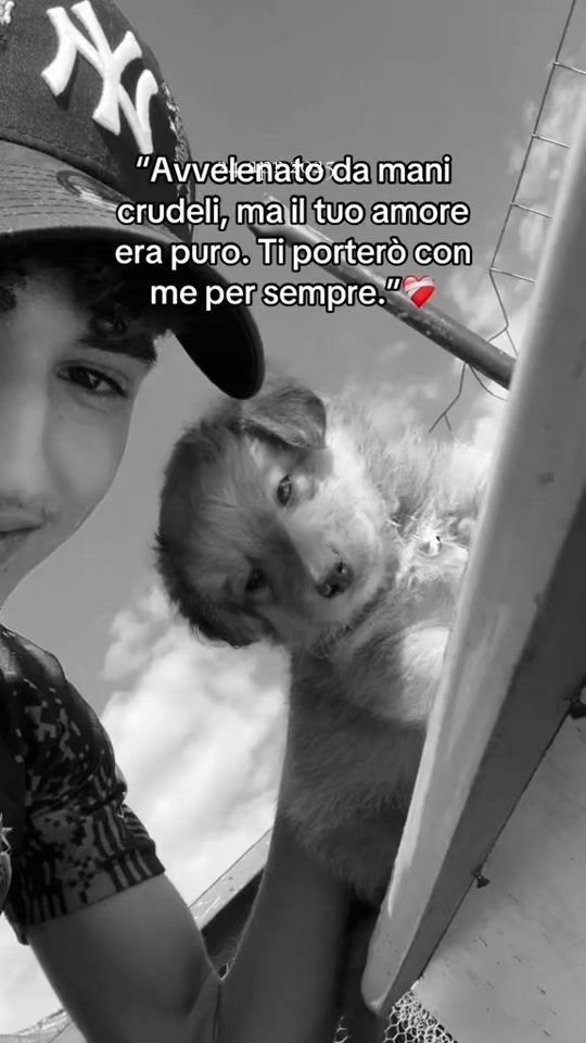 TikTok video thumbnail by abf.06_