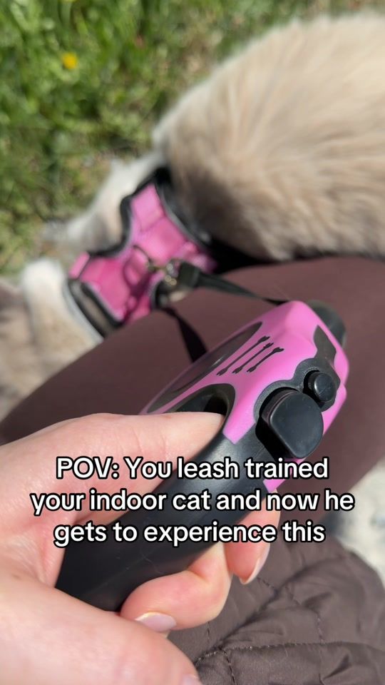 TikTok video thumbnail by myunfilteredmind_