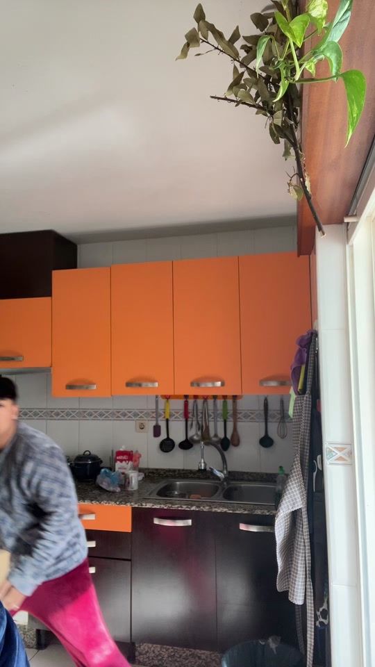 TikTok video thumbnail by efrysalazar