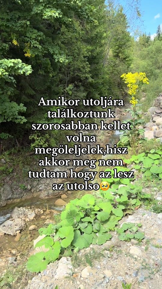 TikTok video thumbnail by .hianyzol02.16