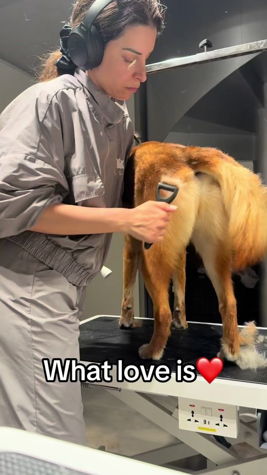 TikTok video thumbnail by aspa_kalatha