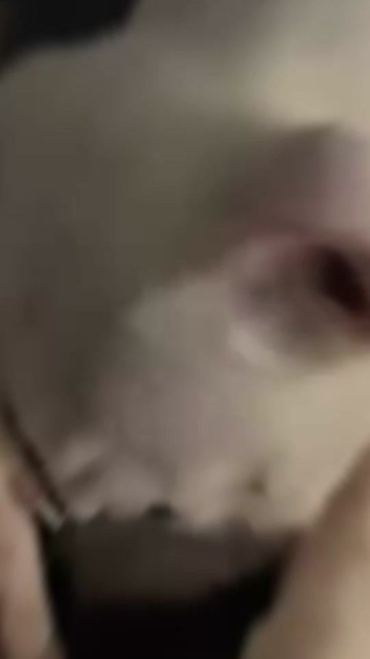 TikTok video thumbnail by beatrizsilva4154