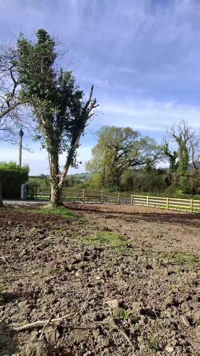 TikTok video thumbnail by kroliczek.85