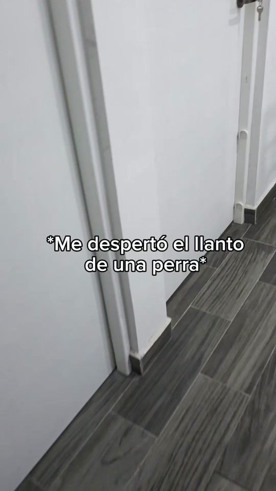 TikTok video thumbnail by titan_elperro