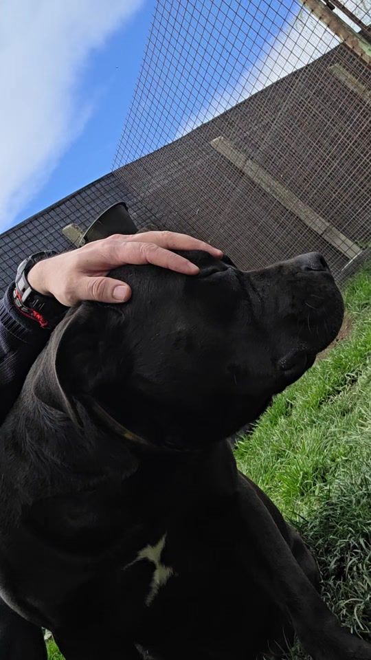 TikTok video thumbnail by ferenc845