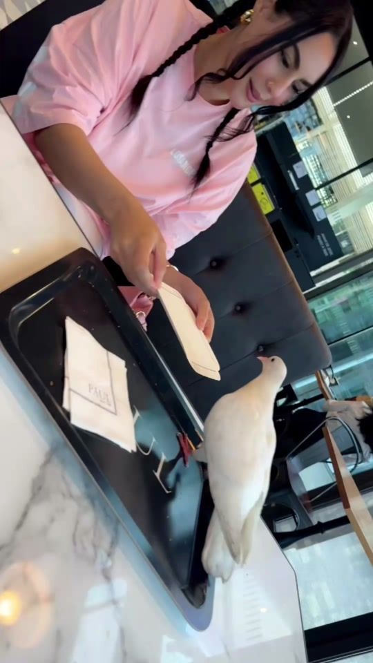 TikTok video thumbnail by arbouch_biia