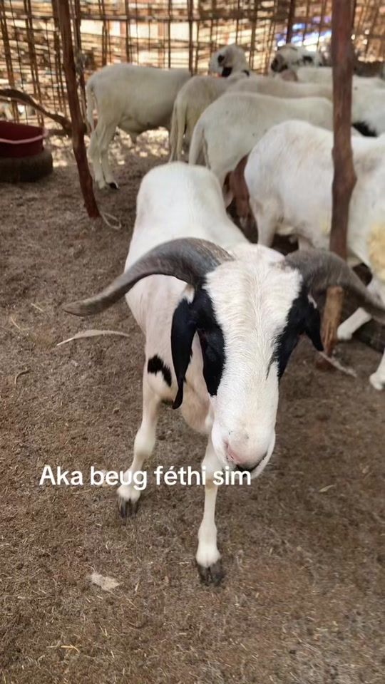 TikTok video thumbnail by latzo.kl