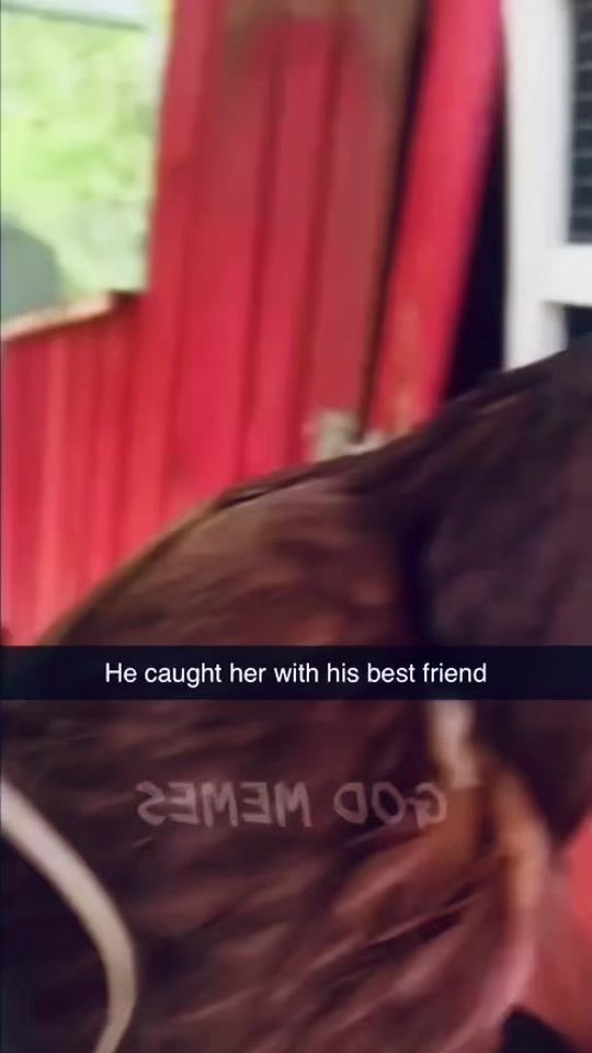 TikTok video thumbnail by creedmemess