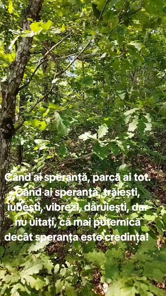 TikTok video thumbnail by murdeala.nuta