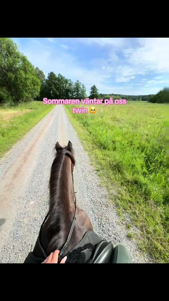 TikTok video thumbnail by linneaml.equi